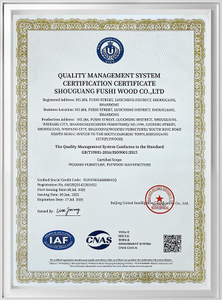 ISO9001