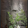 Exterior And Interior Decorative Material PU Stone Wall Cladding Panel 